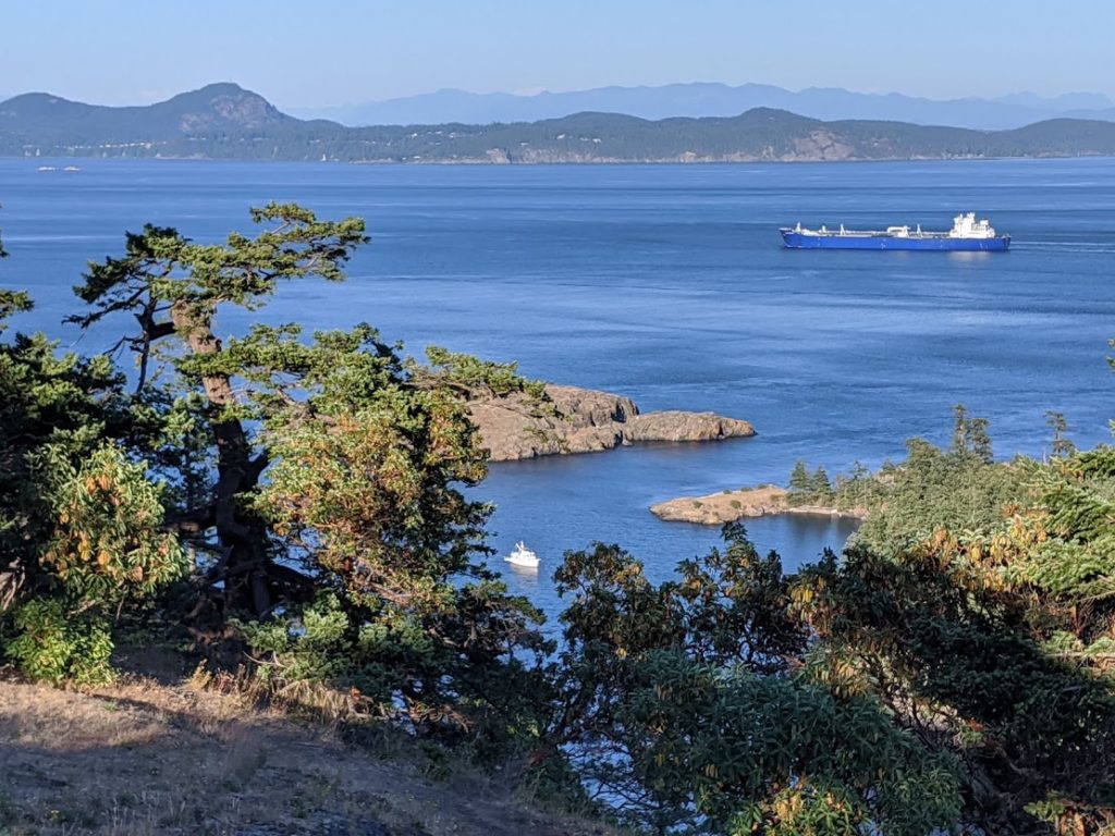 Cruiser's Review - hiking up Chadwick Hill at Watmough Bay on Lopez Island in the San Juan Islands in July summer 2020
