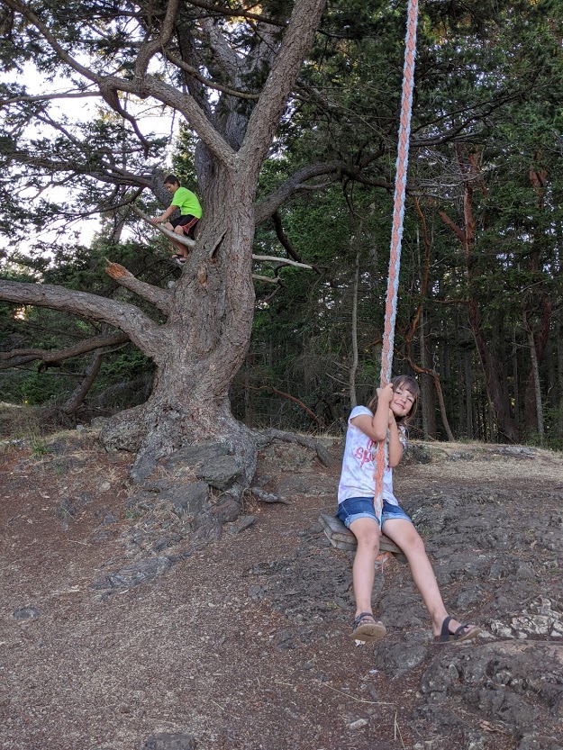 The rope swing at the top of Chadwick Hill on Lopez Island
