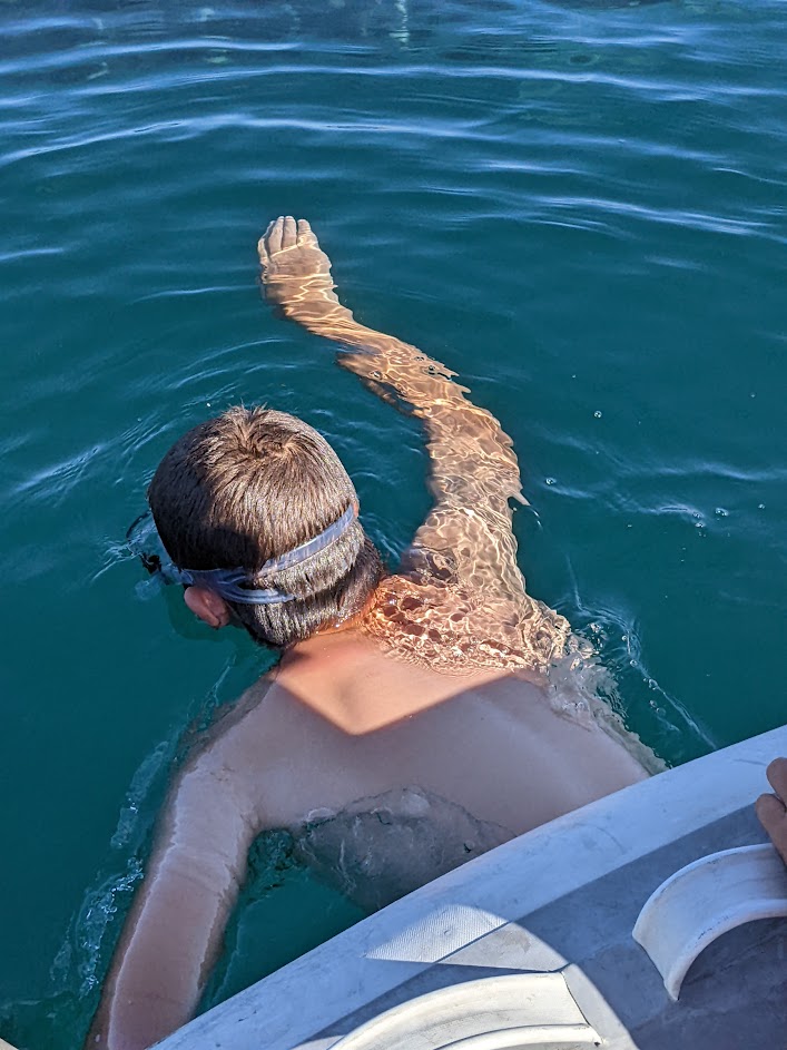 my son swimming with a whale shark
