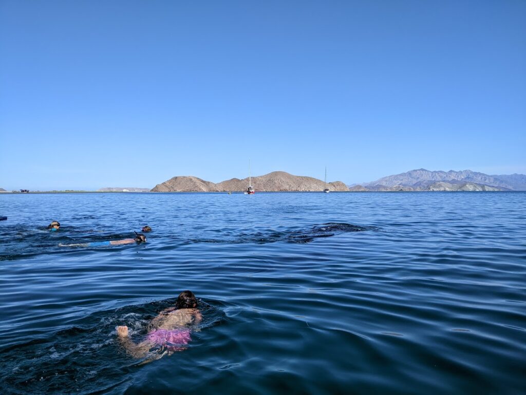 my daughter swimming toward a whale shark in baja california