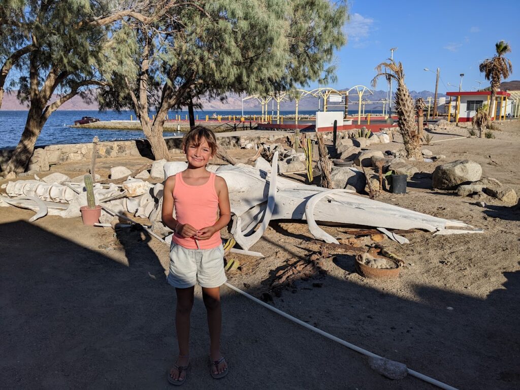 Kali, our daughter, in front of a whale skeleton at the village in Bahia de Los Angeles