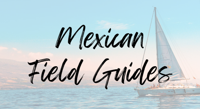 Recommended Mexican Field Guides - fish and wildlife guidebooks for Pacific Mexico and the Sea of Cortez