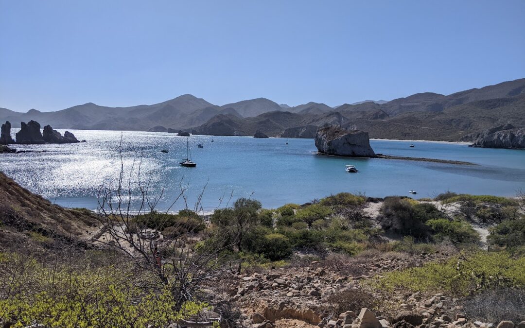 San Juanico, Inside Baja California Sur – Dec 8-13, 2023